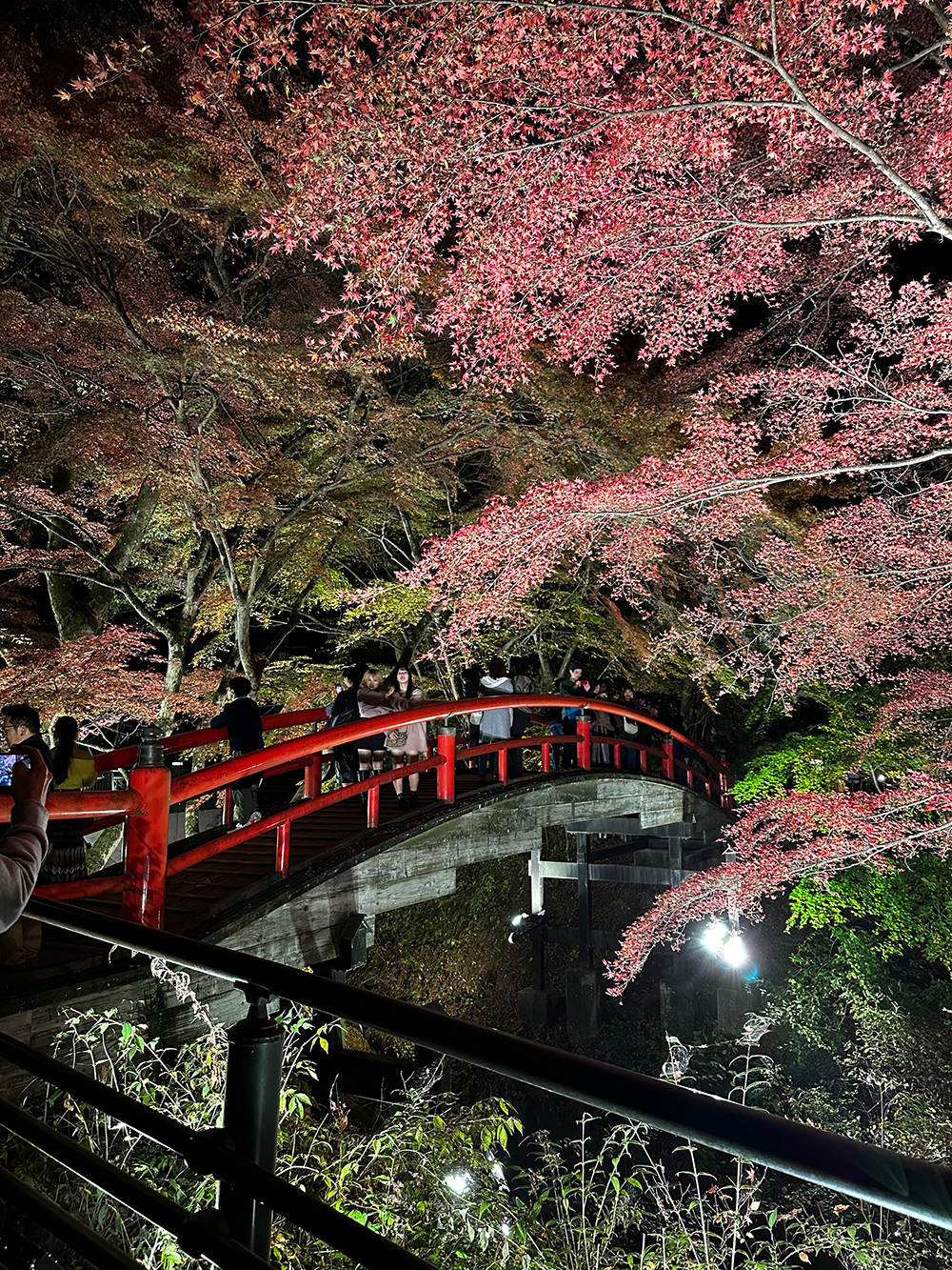 伊香保温泉の紅葉