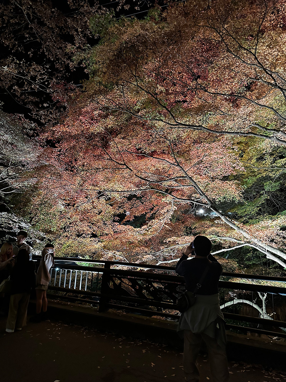 伊香保温泉の紅葉