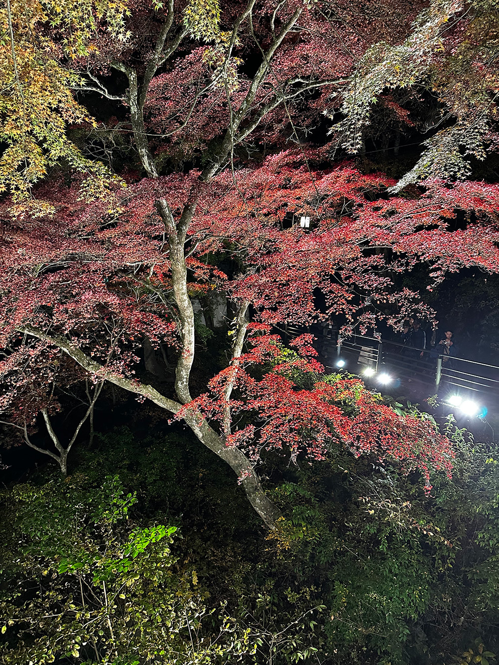 伊香保温泉の紅葉